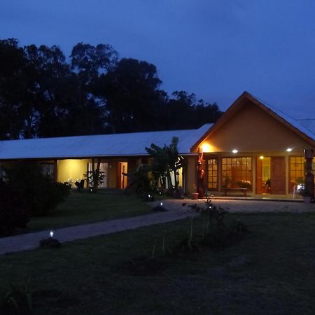 Cabanas Rapa Nui Orito Hanga Roa Exterior photo