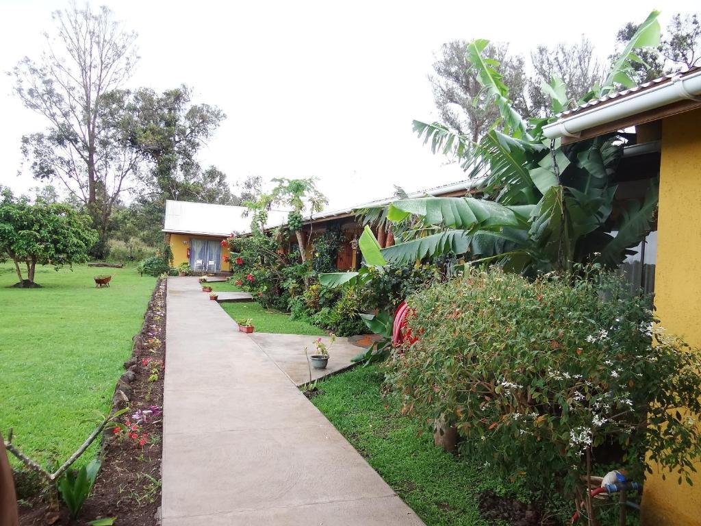 Cabanas Rapa Nui Orito Hanga Roa Exterior photo